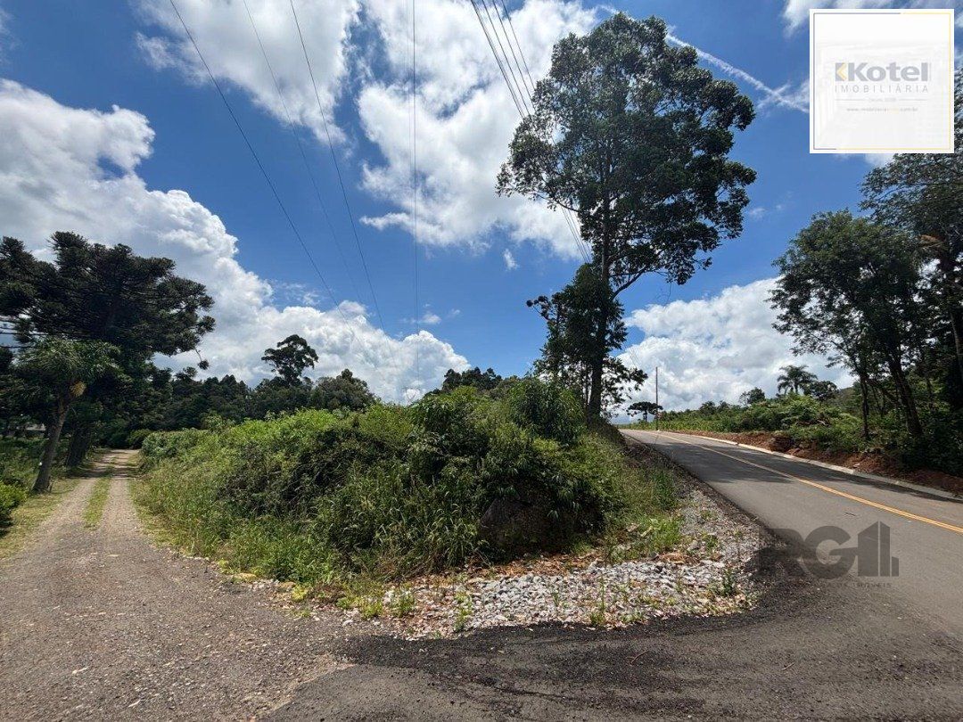 Lindo Sitio 5,4 ha a 7km do Lago Negro — foto 5
