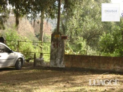 Sítio para Venda com 5000m² e 3 dormitórios no bairro Lami — foto 4