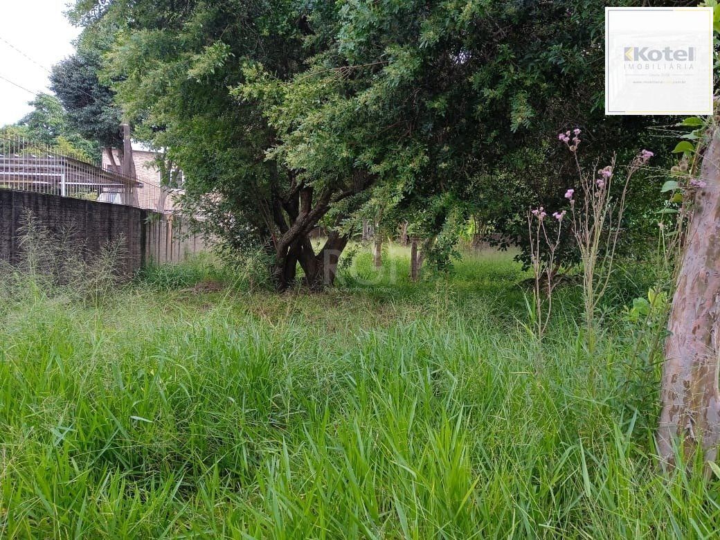 Terreno para Venda - 0m², 0 dormitórios, Tristeza — foto 3