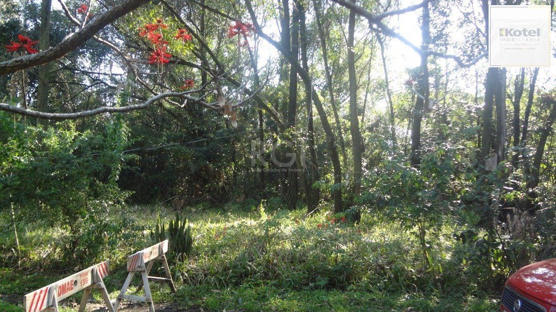 Area para Venda - 0m², 0 dormitórios, Hípica — foto 5