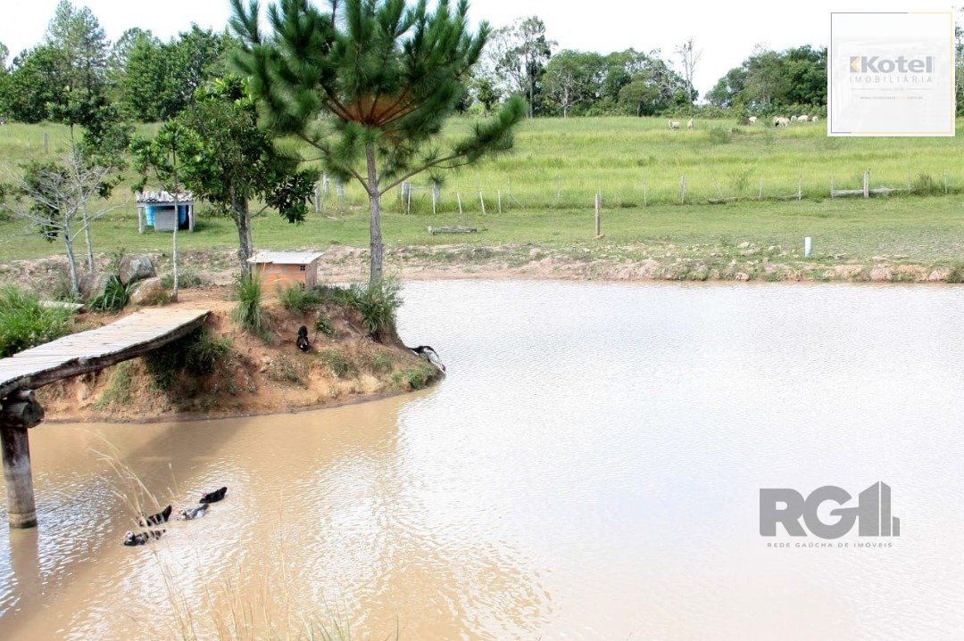 Sítio 3 quartos à venda, 6000m², Estância Grande - Viamão