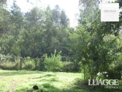Sítio para Venda com 5000m² e 3 dormitórios no bairro Lami — foto 5
