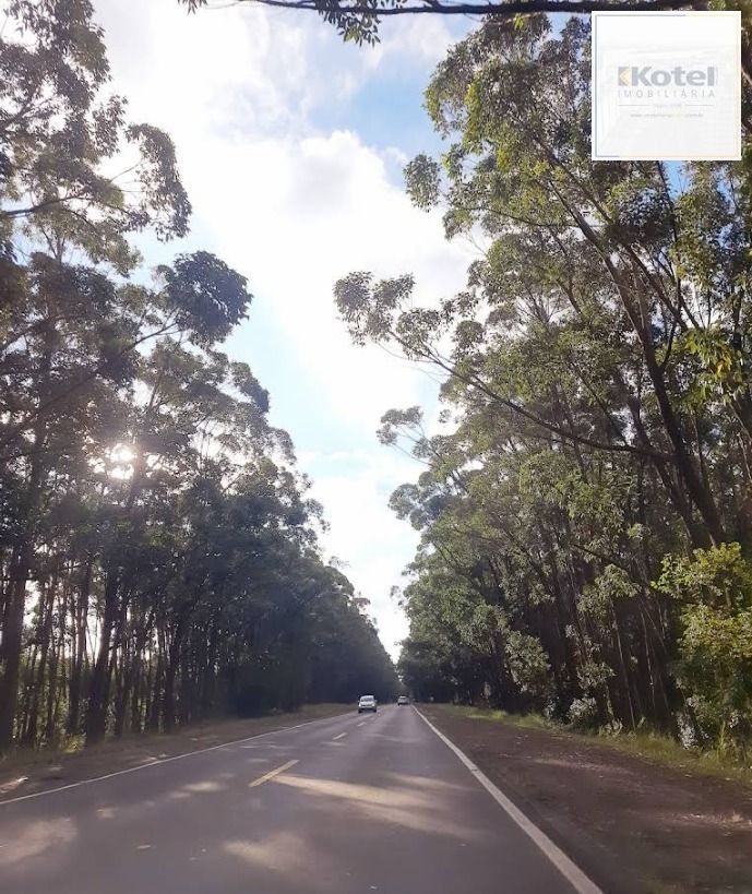 Chácara 2 quartos à venda, 90m², Morro Grande II (Águas Claras) - Viamão