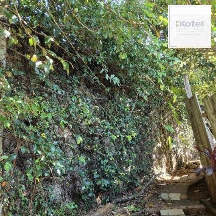Terreno com 482 m² para venda no bairro Santa Tereza/Menino Deus em Porto Alegre/RS. — foto 2