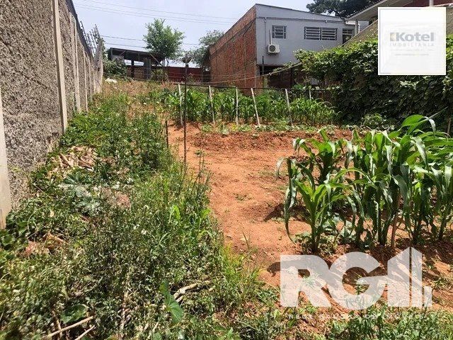 Terreno à venda, Jardim Floresta - Porto Alegre — foto 2