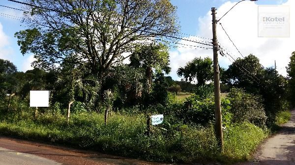 Terreno para Venda - 0m², 0 dormitórios, Vila Nova — foto 5