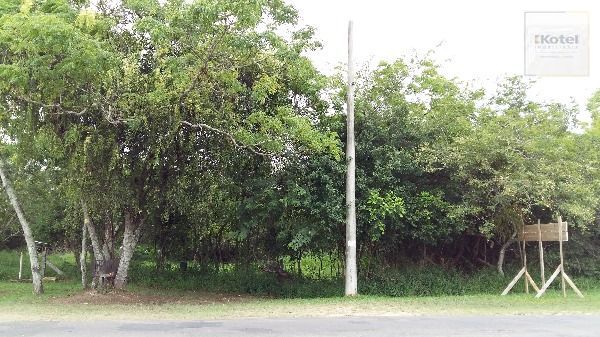 Terreno para Venda - 0m², 0 dormitórios, Lami — foto 4