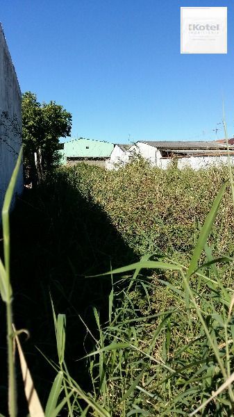 Terreno para Venda - 0m², 0 dormitórios, Ponta Grossa — foto 2