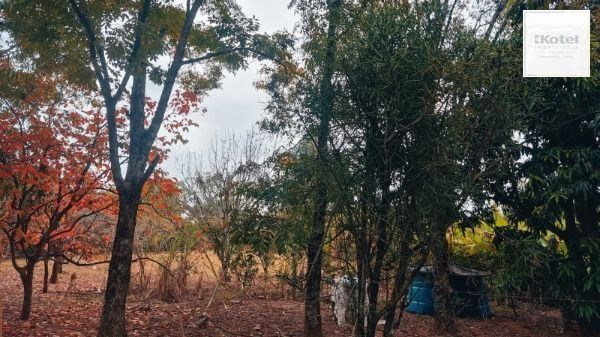 Area em Porto Alegre, no bairro Restinga, à venda. — foto 5