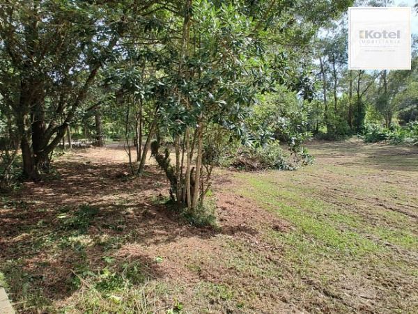 Sítio em Porto Alegre, no bairro São Caetano, à venda. — foto 2