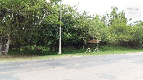 Terreno para Venda - 0m², 0 dormitórios, Lami — foto 5