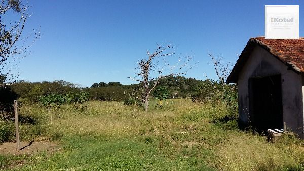 Terreno para Venda - 0m², 0 dormitórios, Lami — foto 5