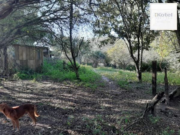 Sítio para Venda - 200m², 3 dormitórios, 4 vagas - Lami
