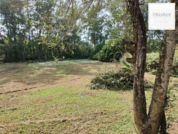 Sítio em Porto Alegre, no bairro São Caetano, à venda. — foto 4
