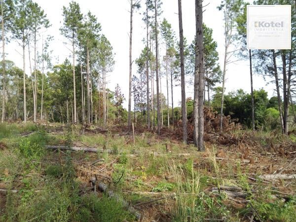 Area em Porto Alegre, no bairro Lomba do Pinheiro, à venda. — foto 4