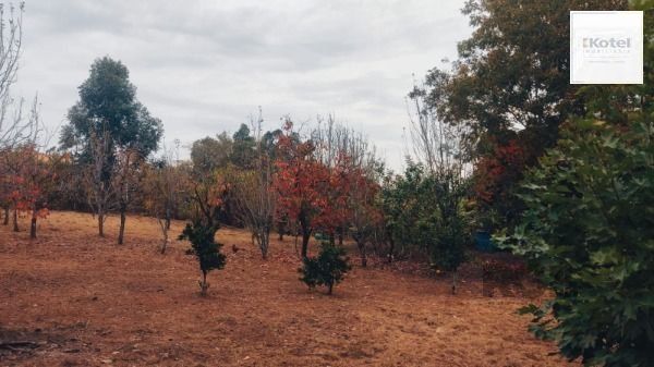 Area em Porto Alegre, no bairro Restinga, à venda. — foto 3