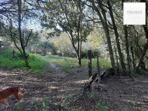 Sítio para Venda - 200m², 3 dormitórios, 4 vagas - Lami
