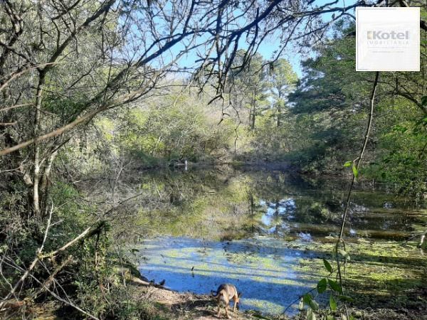 Sítio para Venda - 200m², 3 dormitórios, 4 vagas - Lami