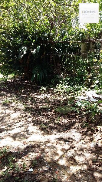 Terreno para Venda - 0m², 0 dormitórios, Glória — foto 2