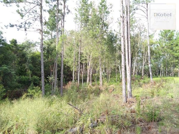 Area em Porto Alegre, no bairro Lomba do Pinheiro, à venda. — foto 3