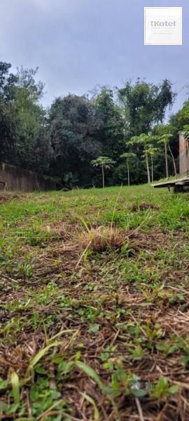 Terreno em Porto Alegre, no bairro Ipanema, à venda. — foto 3