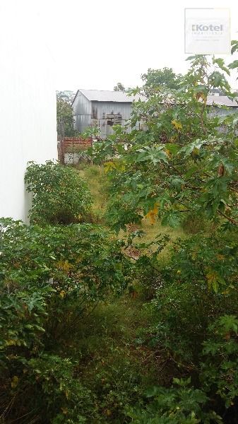 Terreno para Venda - 0m², 0 dormitórios, Nonoai — foto 3