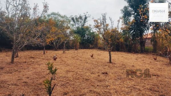 Area em Porto Alegre, no bairro Restinga, à venda. — foto 2