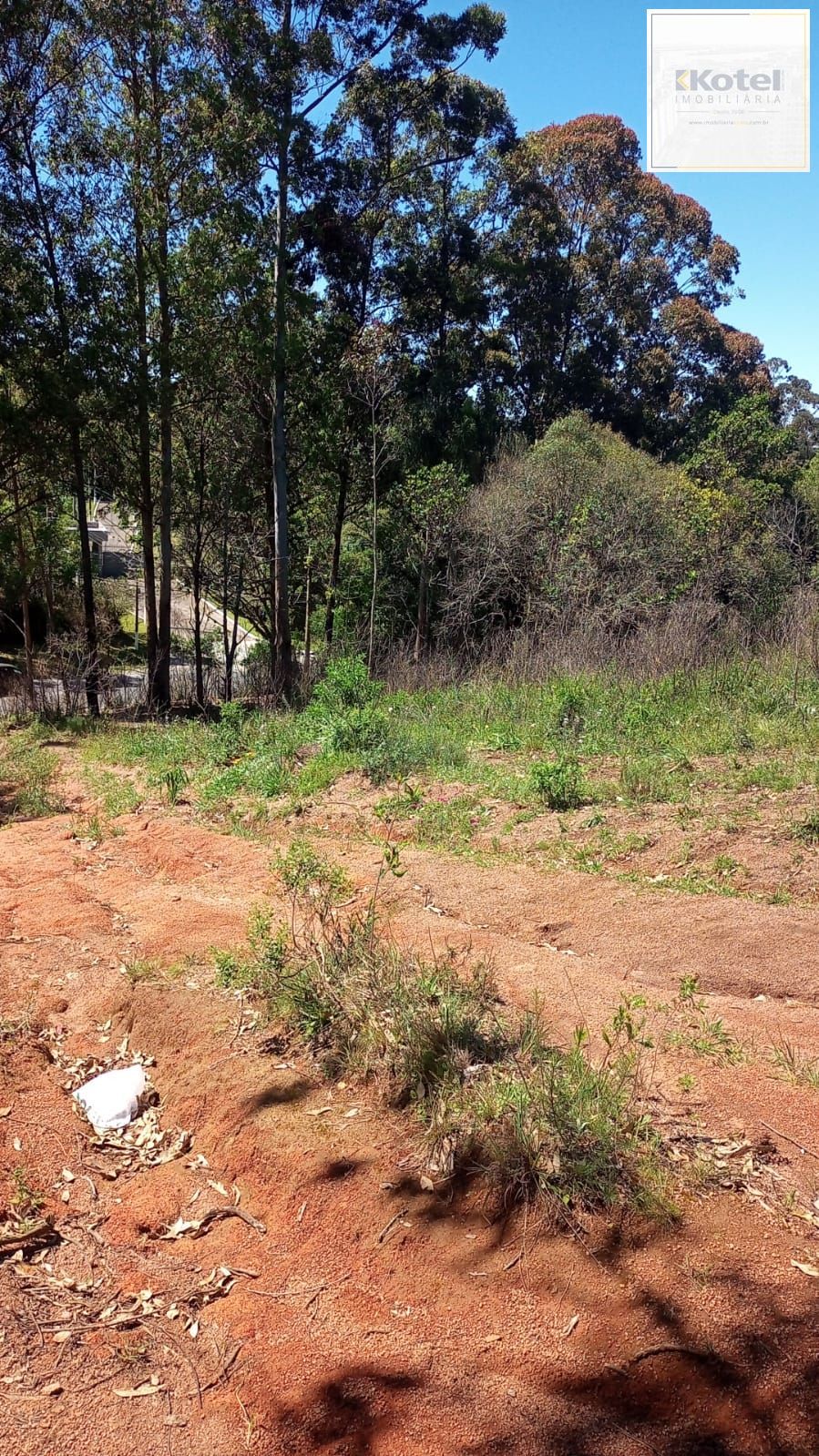 Terreno à venda, Campo Novo - Porto Alegre — foto 3