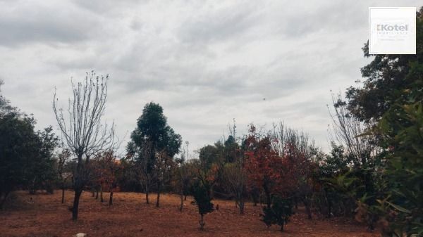 Area em Porto Alegre, no bairro Restinga, à venda. — foto 4