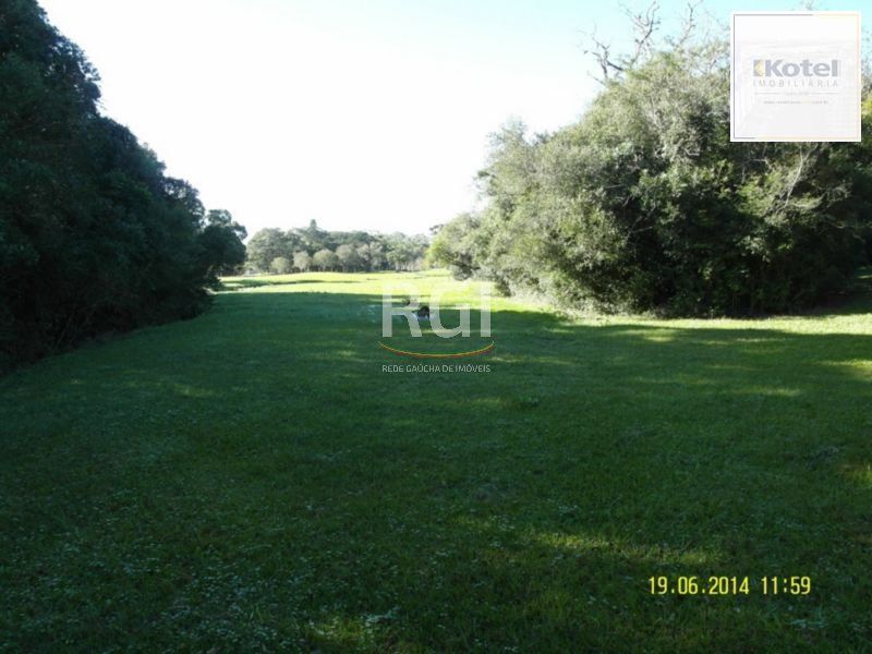 Area para Venda - 35000m², 0 dormitórios, Centro — foto 5