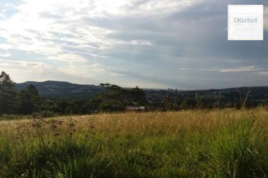 Terreno para Venda - 0m², 0 dormitórios, Vila Nova — foto 4