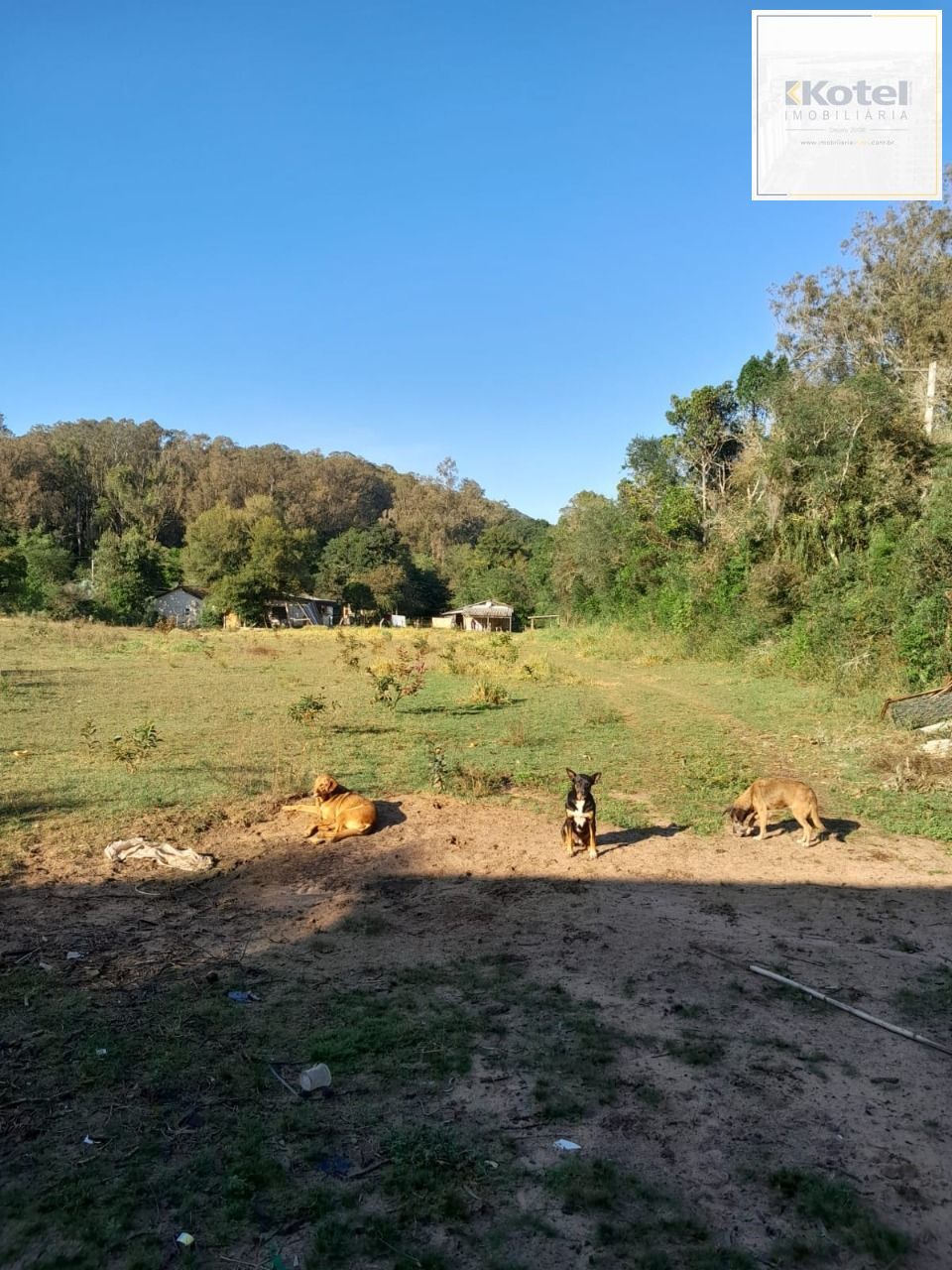 Sítio em Itapuã, Viamão RS. com 2 Ha.
