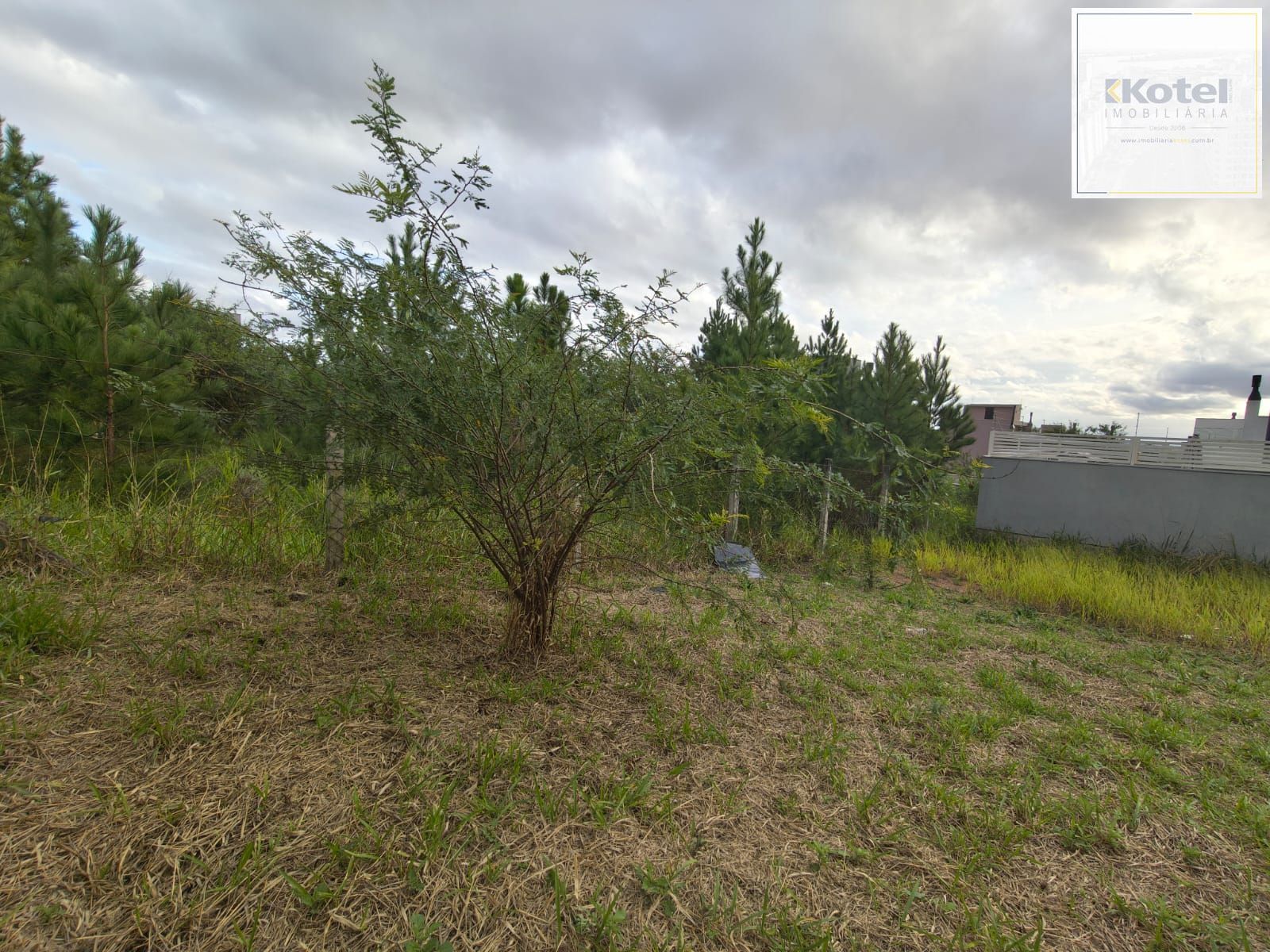 Terreno no Bairro Guarujá, medindo 8x25, Vista para o Guaíba - Porto Alegre/RS — foto 3