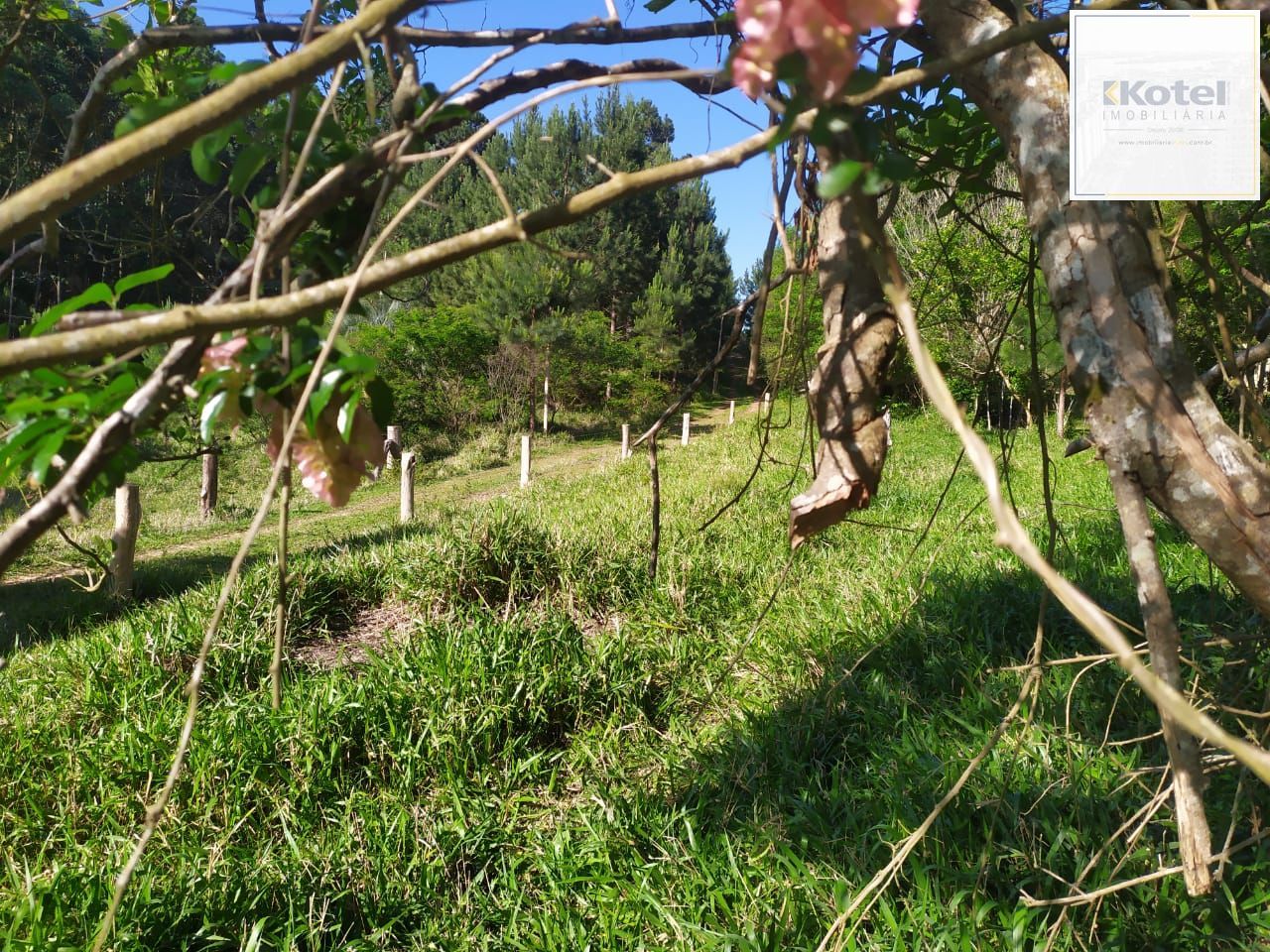 Terreno à venda, Extrema - Porto Alegre — foto 4