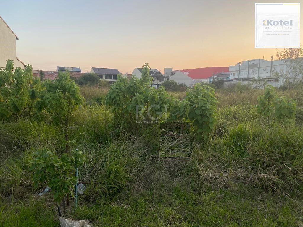 Terreno para Venda - 329.43m², 0 dormitórios, Hípica — foto 5