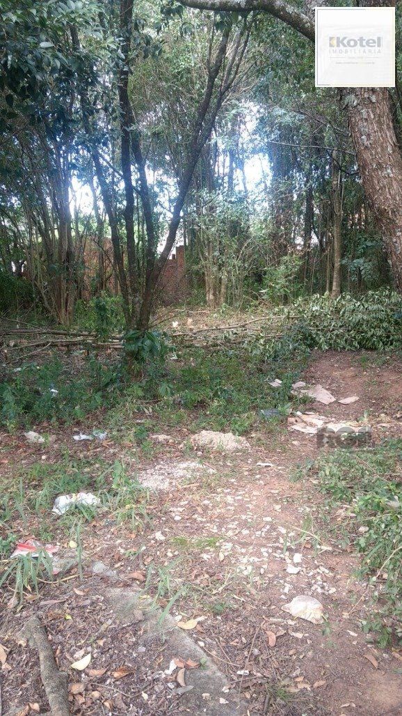 Terreno à venda, Lomba do Pinheiro - Porto Alegre — foto 4