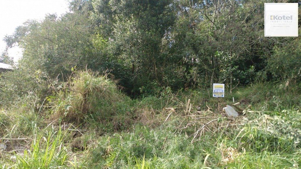 Terreno à venda, Lomba do Pinheiro - Porto Alegre — foto 2
