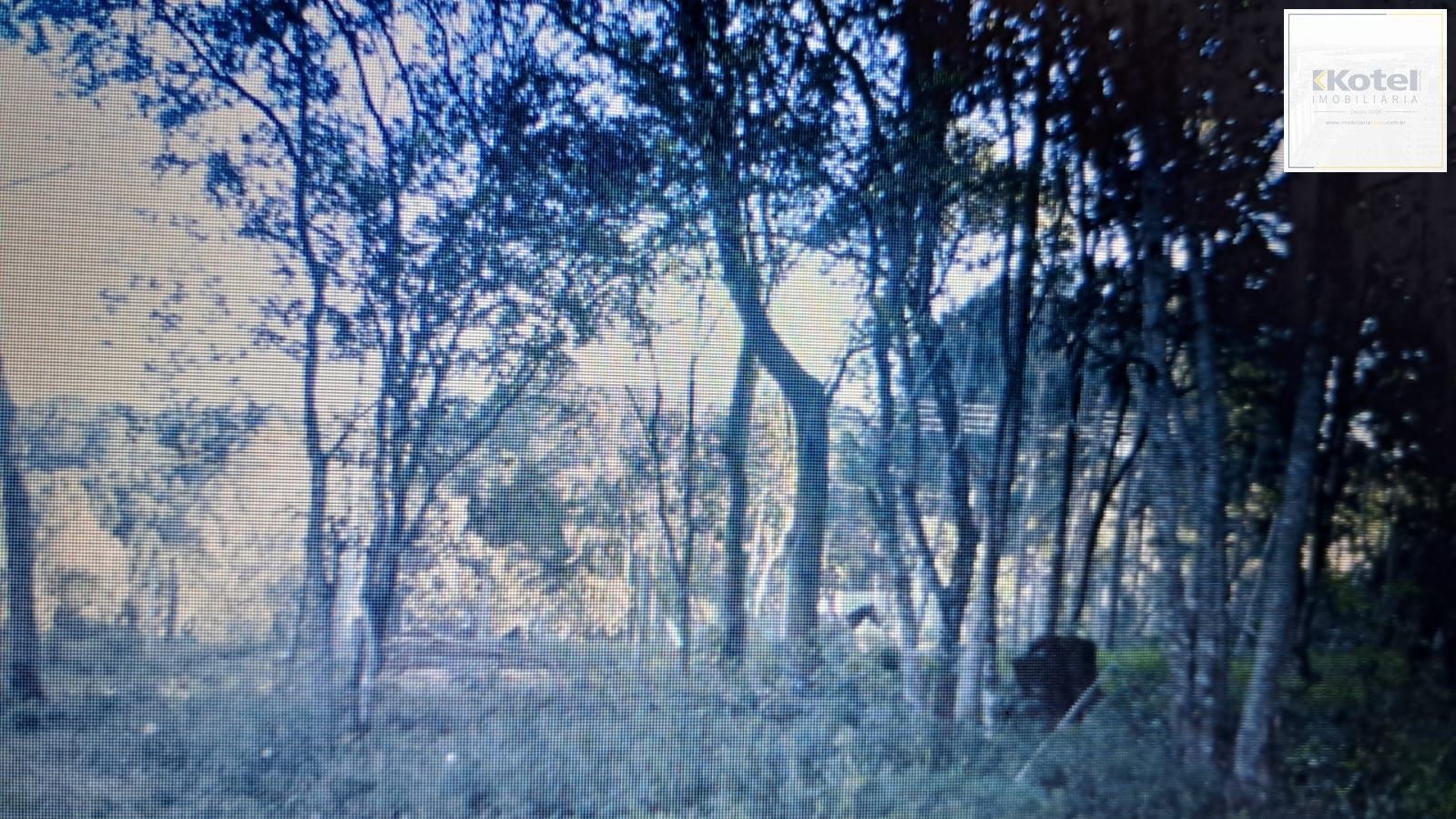 Sítio, à venda, Hípica - Porto Alegre — foto 5