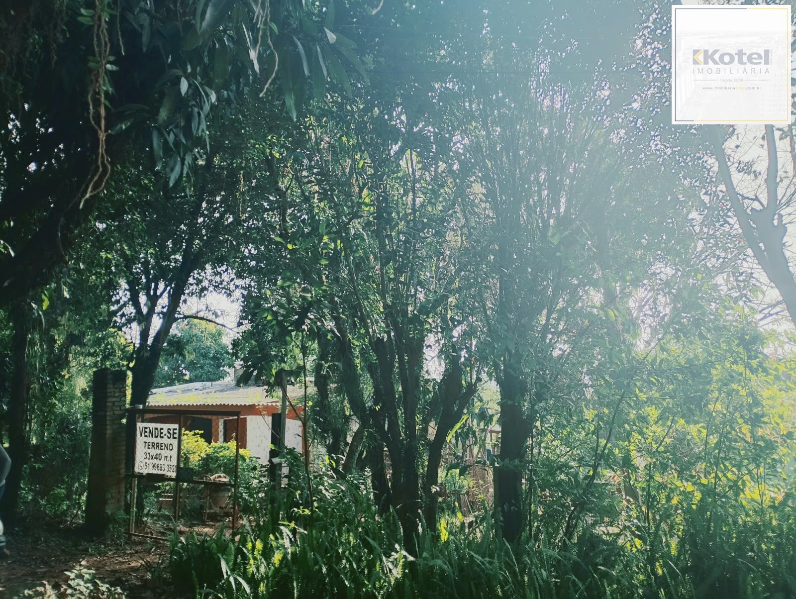 Terreno, à venda, Campo Novo - Porto Alegre — foto 5