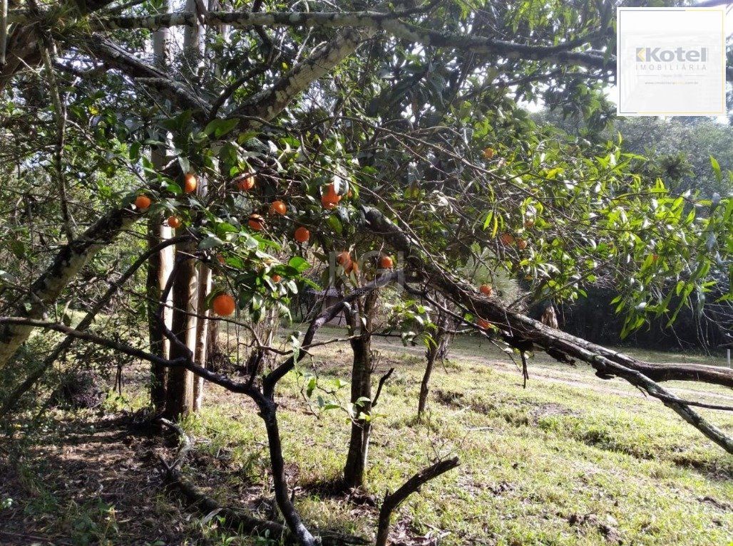 Terreno para Venda - 0m², 0 dormitórios, Central — foto 3