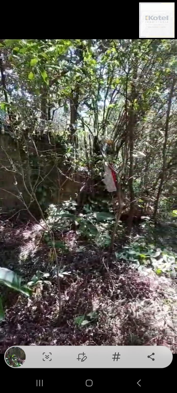 Chácara à venda, Lageado - Porto Alegre — foto 3