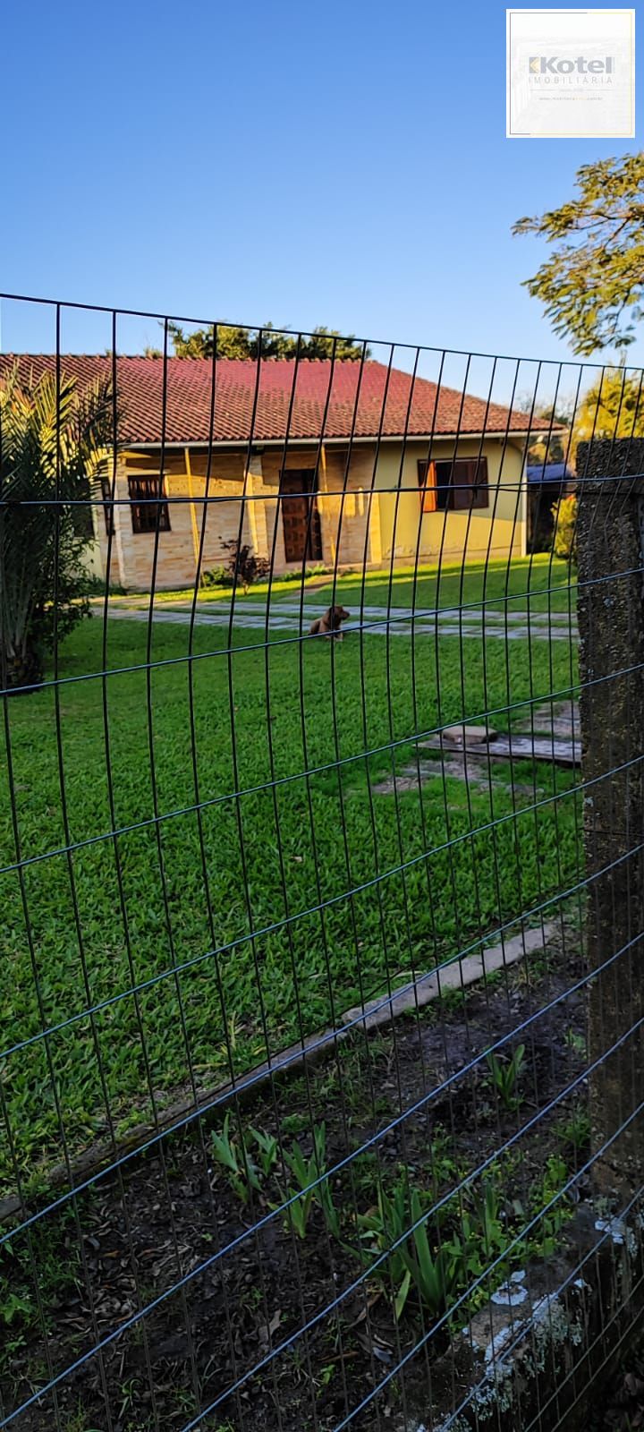 Lindo sitio á venda no Lami — foto 2