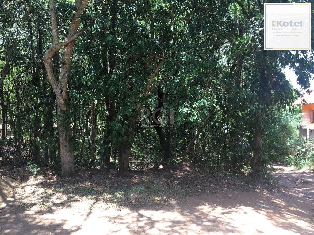 Terreno à venda, Vila Nova - Porto Alegre — foto 4