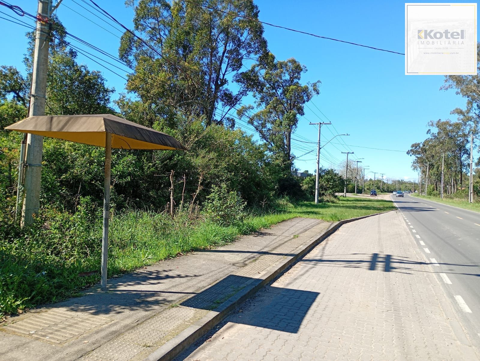 Terreno, à venda, São Caetano - Porto Alegre — foto 3
