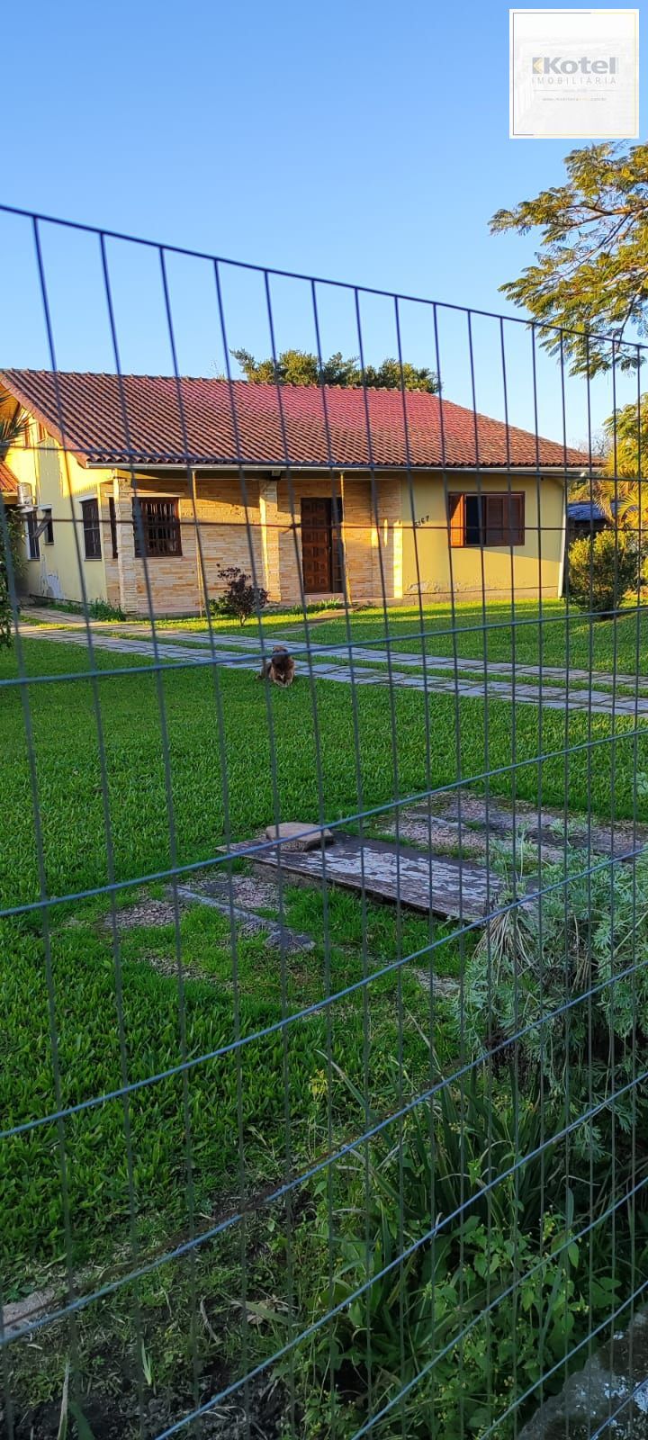 Lindo sitio á venda no Lami — foto 3