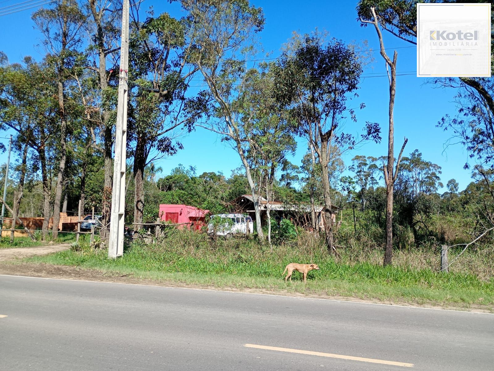 Terreno, à venda, São Caetano - Porto Alegre — foto 4