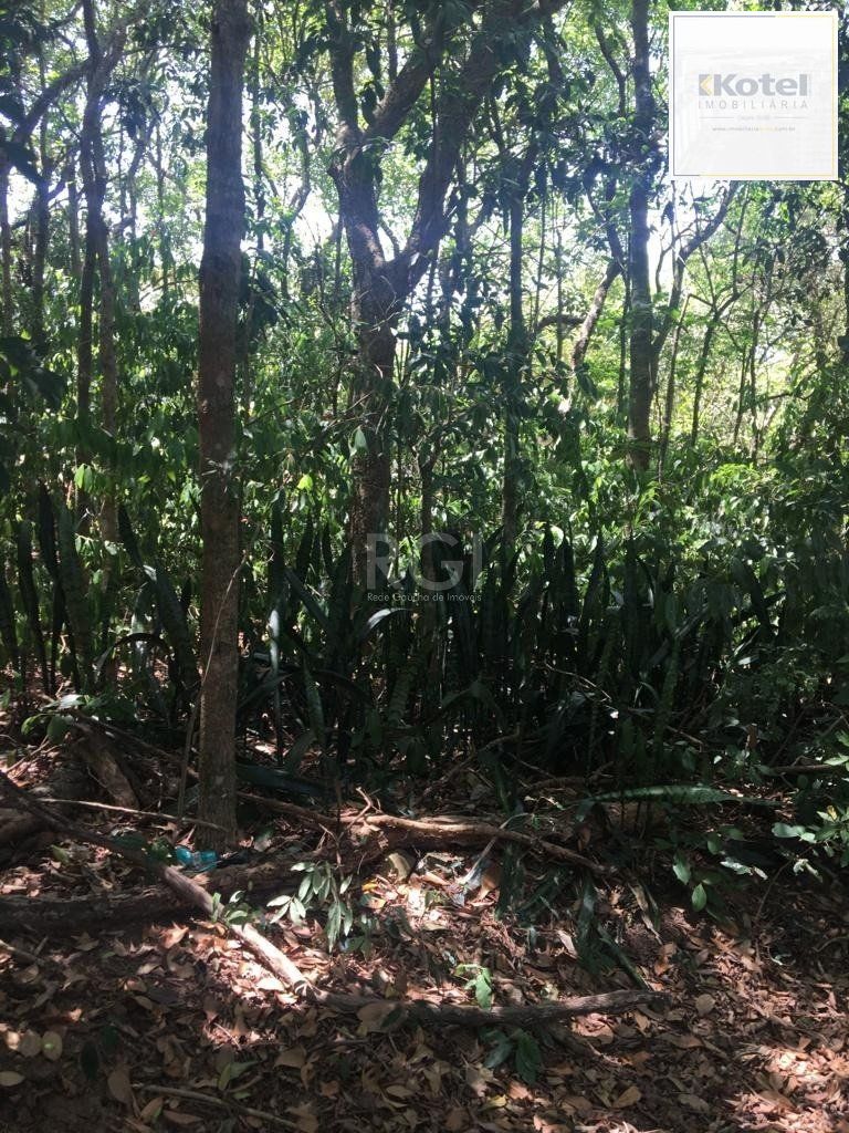 Terreno à venda, Vila Nova - Porto Alegre — foto 2