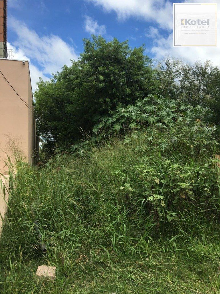 Terreno à venda, Ponta Grossa - Porto Alegre — foto 5