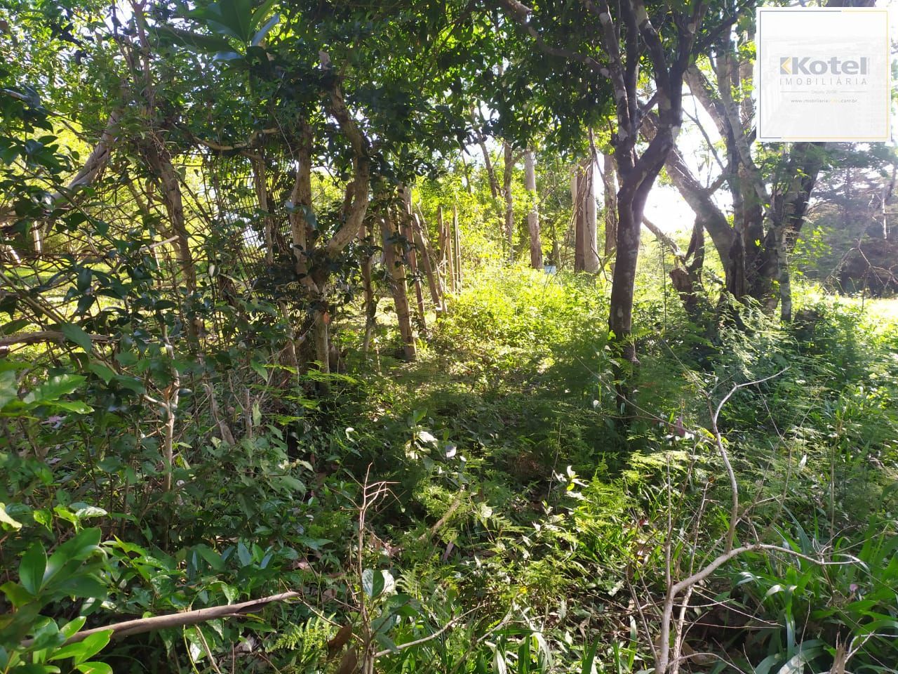 Terreno à venda, Extrema - Porto Alegre — foto 2