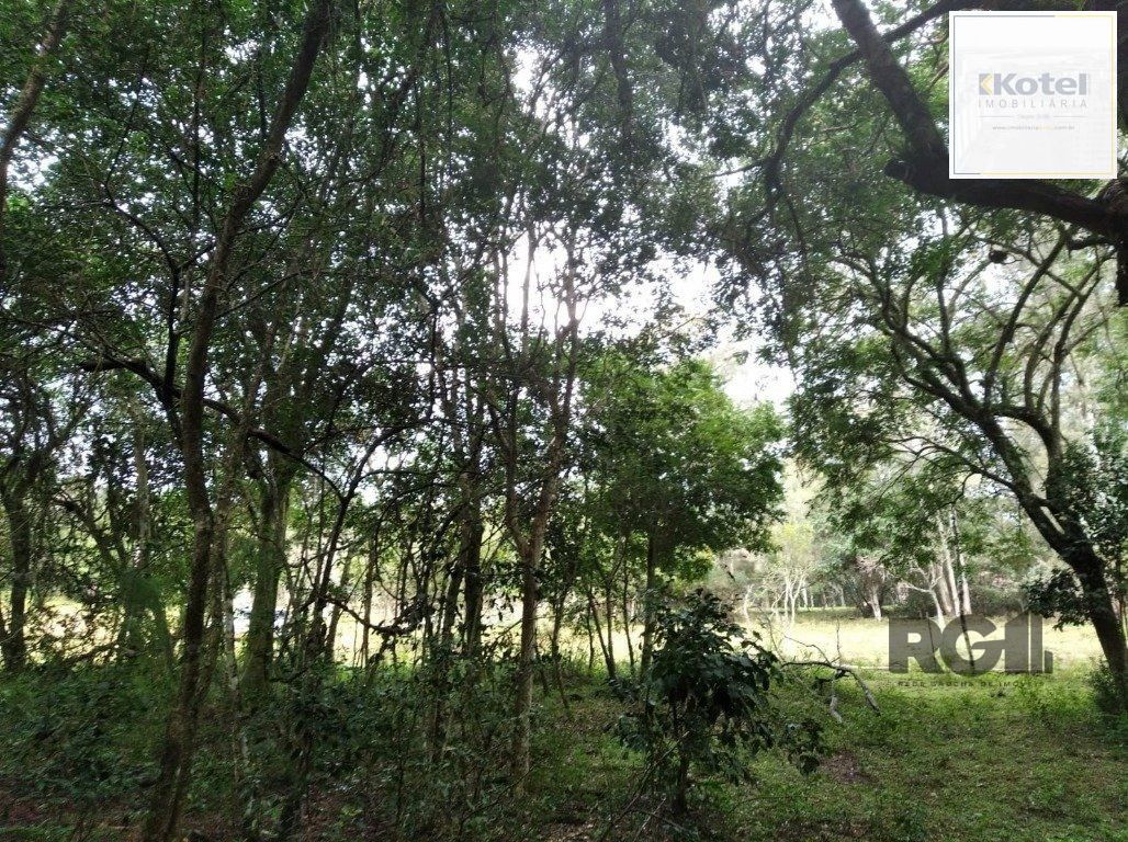 Terreno à venda, Ponta Grossa - Porto Alegre — foto 3